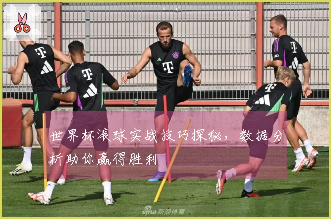 世界杯滚球实战技巧探秘，数据分析助你赢得胜利