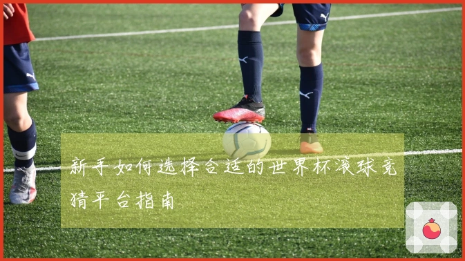 新手如何选择合适的世界杯滚球竞猜平台指南