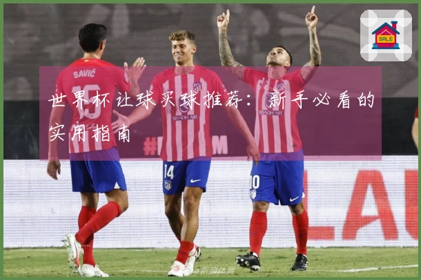 世界杯让球买球推荐：新手必看的实用指南
