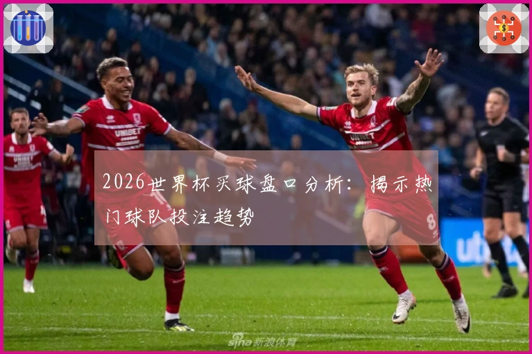 2026世界杯买球盘口分析：揭示热门球队投注趋势