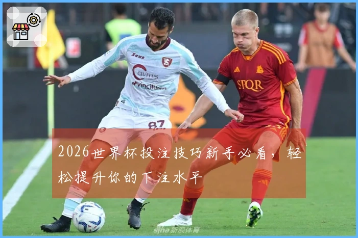 2026世界杯投注技巧新手必看，轻松提升你的下注水平