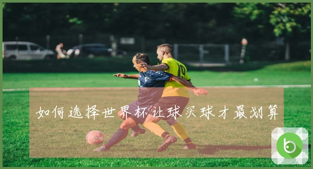 如何选择世界杯让球买球才最划算