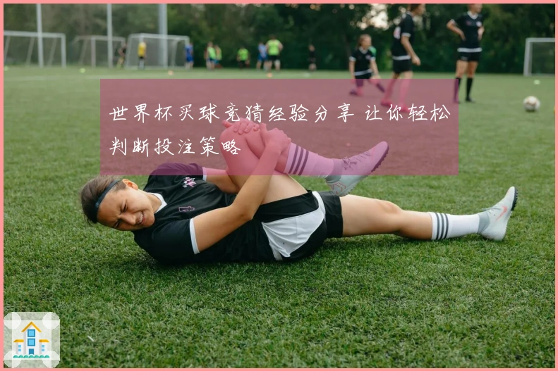 世界杯买球竞猜经验分享 让你轻松判断投注策略
