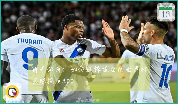 新手必看：如何选择适合的世界杯买球投注App