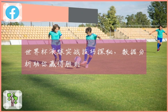 世界杯滚球实战技巧探秘，数据分析助你赢得胜利