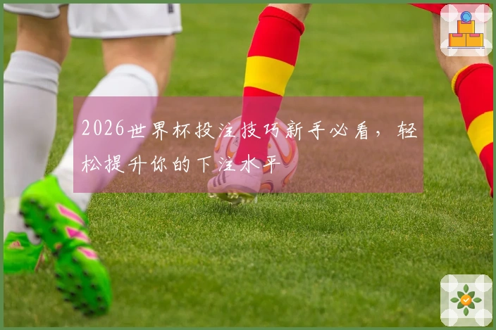 2026世界杯投注技巧新手必看，轻松提升你的下注水平