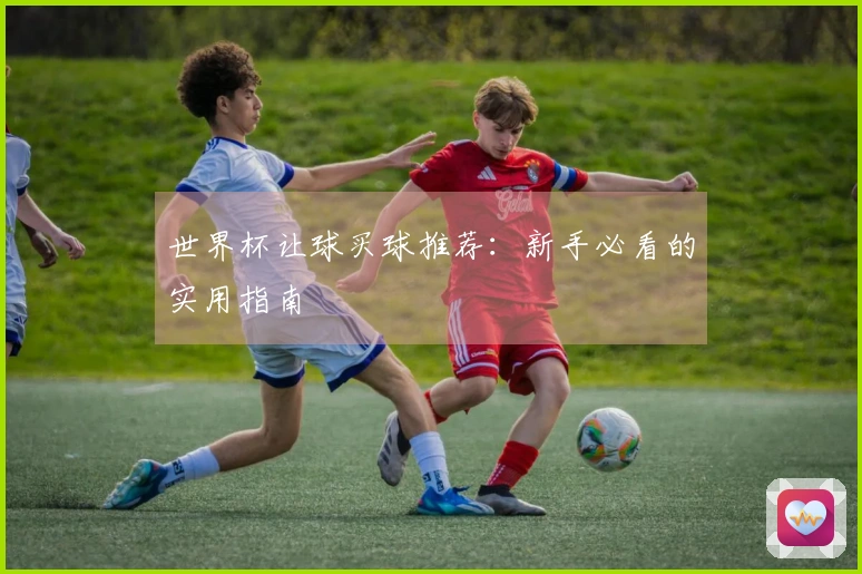 世界杯让球买球推荐：新手必看的实用指南