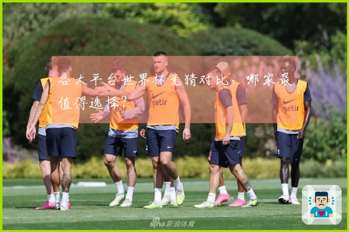 各大平台世界杯竞猜对比,哪家最值得选择?