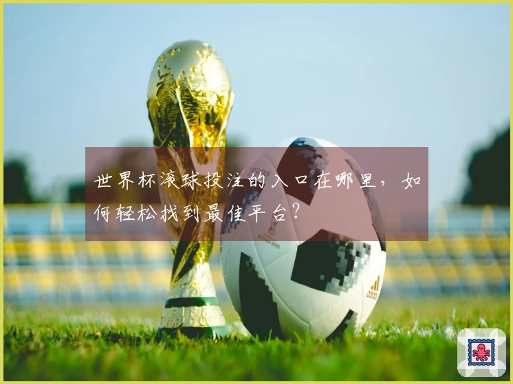 世界杯滚球投注的入口在哪里，如何轻松找到最佳平台？