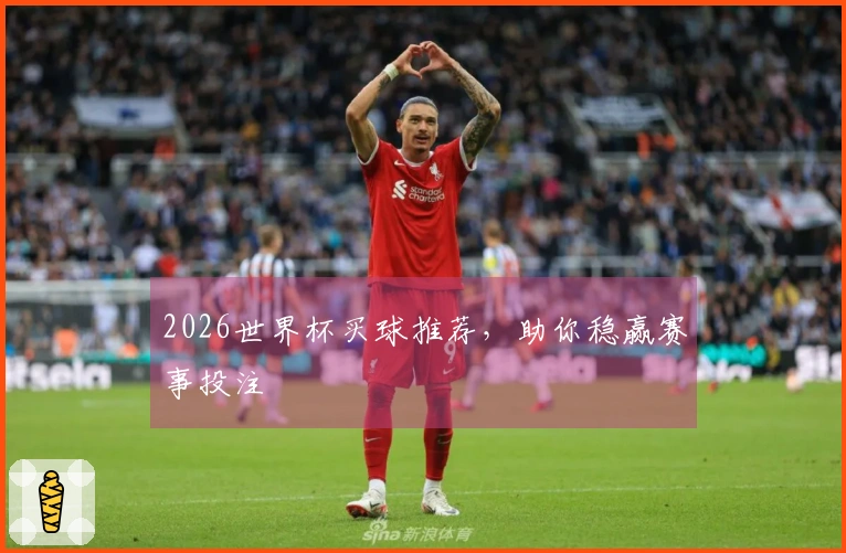 2026世界杯买球推荐,助你稳赢赛事投注