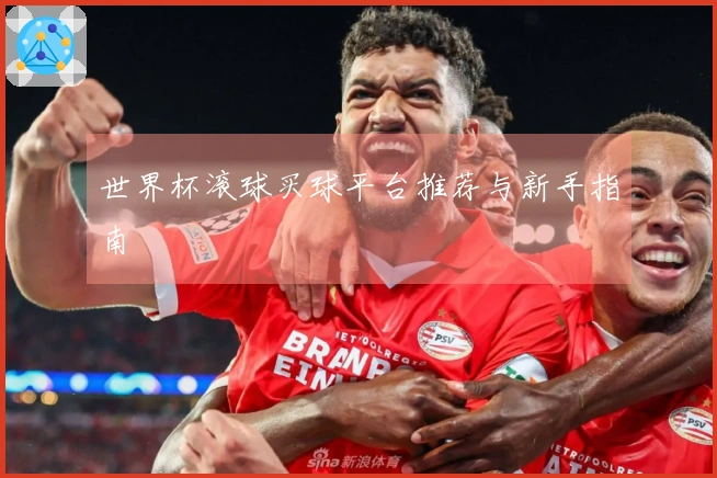世界杯滚球买球平台推荐与新手指南